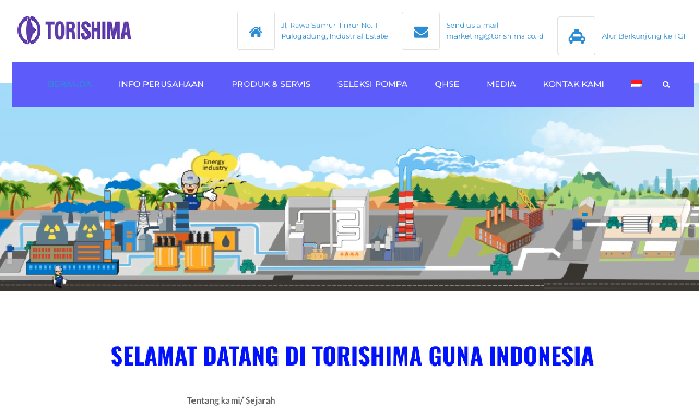 Update Plugin Website Torishima Guna Indonesia